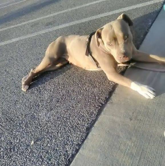 Profile Picture of Joe Shockley (@joeybandz012116) on Poshmark