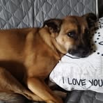 Profile Picture of Clifton Blakemore (@clifton.blakemore.3) on Facebook