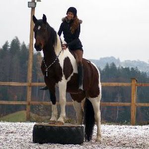 Profile Picture of Rebecca Reiter862 (@rebeccareiter862) on Tiktok