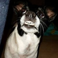 Profile Picture of Jasmine Wild (@jasmine-wild) on Quora