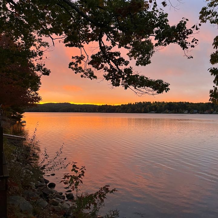 Profile Picture of Alexa Petersen (@alexa.petersen7) on Tiktok