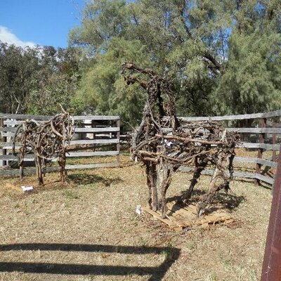 Profile Picture of Mick Goorari (@mike_boller) on Twitter