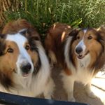 Profile Picture of Melody Tuttle (@tuttlemelody) on Instagram