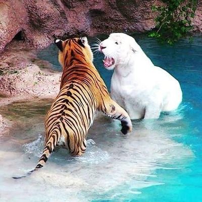 Herminio Castro - Twitter Profile Picture of Herminio Castro (@HerminioCastro3) on Twitter