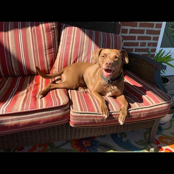 Profile Picture of Carly Sines (@carbar319) on Poshmark