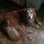 Profile Picture of Jerry Bowens (@jerrybowens) on Instagram