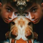 Profile Picture of Jack Robert Avery (@fan.avery) on Instagram