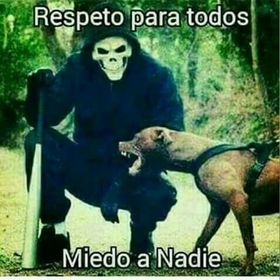 Profile Picture of joel toribio (@rada1426) on Pinterest