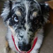 Paul Oberg - Pinterest Profile Picture of Paul Oberg (@oberg04) on Pinterest