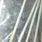 Profile Picture of Humberto Tovar Ortega (@humbertotovaror) on Instagram