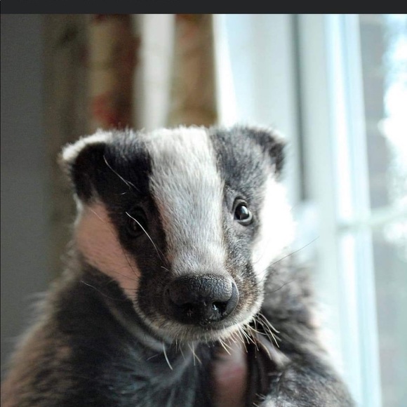 Profile Picture of Ivan Lasek (@ivanlasek) on Poshmark