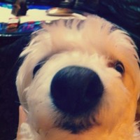 Profile Picture of Milica Stefanovic (@milica-stefanovic-8) on Quora