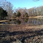 Profile Picture of Netanya Wright (@thewrightnetanya) on Instagram