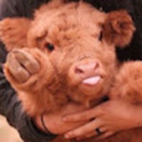 Profile Picture of Amber Cadie (@amber-cadie) on Quora