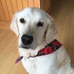 Profile Picture of Kelli Handel (@kellihandel) on Instagram