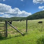 Profile Picture of Matt and Gina Decker (@deckerfarmstead) on Instagram