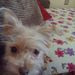Profile Picture of Nickhol StClair (@nickhol) on Pinterest
