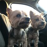 Profile Picture of Eugene H (@eugenehui626) on Instagram