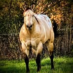 Profile Picture of Crystal Kiesau (@Crystal-Kiesau) on Facebook