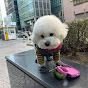 Profile Picture of KyuMyeong Kim (@@kmkim1007) on Tiktok