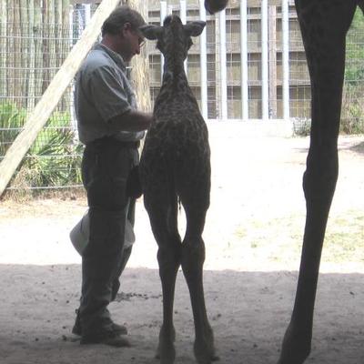 Profile Picture of Michael Magaw (@ExclAnimals) on Twitter