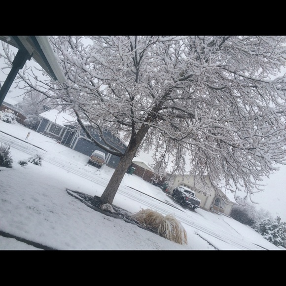 Profile Picture of Haley Daniels (@love_bear09) on Poshmark