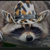 Profile Picture of Cody Hutton (@@codyhutton85) on Tiktok