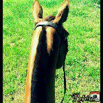 Laura ∞ - Instagram Profile Picture of Laura ∞ (@laura_baze) on Instagram