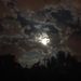 Profile Picture of helene gauthier (@hkgauthier) on Pinterest