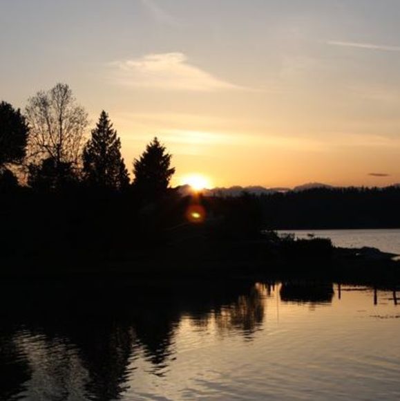 Profile Picture of Monica Brickman (@brickman16) on Poshmark