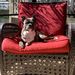 Profile Picture of sandra husidic (@sandrahusidic) on Pinterest