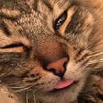 Profile Picture of Chris Sandberg (@chris_sandberg7640) on Instagram