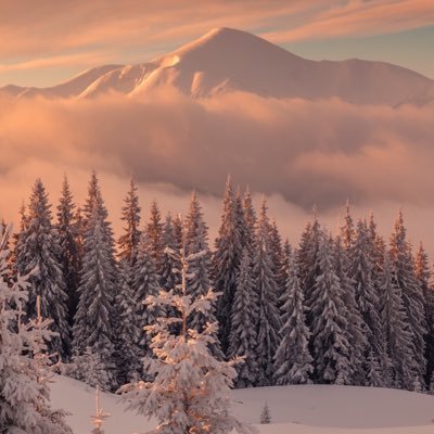 Profile Picture of Alex Pagliaro (@pagleearrow) on Twitter