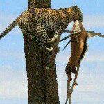 Profile Picture of Allan Mbaga (@allanimbaga74) on Instagram