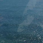 Profile Picture of Richard P Wiggster (@theblessedgratefulmonk) on Instagram