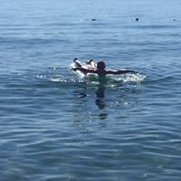 Profile Picture of Lisa Joslin (@lisa-joslin-6) on Quora