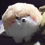 Profile Picture of Simon Ip (@SimonIp620) on Youtube