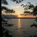 Profile Picture of Cathy Baumgartner (@cathyba) on Pinterest