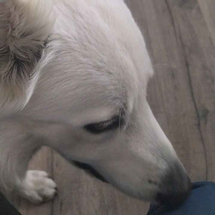 daniel drozd - Tiktok Profile Picture of daniel drozd (@danda65123) on Tiktok