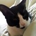 Profile Picture of Lucy Minor (@lucy.minor.773) on Facebook