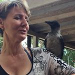 Profile Picture of Heike Meyer (@meyer.heike.330) on Instagram