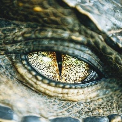 Savannah Holley - Twitter Profile Picture of Savannah Holley (@Crowsspirit) on Twitter