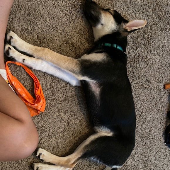 Profile Picture of Alex Means (@alexmeans12) on Poshmark