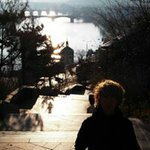 Profile Picture of Joseph Pickering (@pickooooo) on Instagram