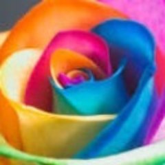 Profile Picture of Pamela Irvin (@PamelaIrvin9) on Twitter