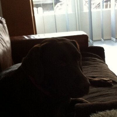 Profile Picture of Marc Van Der Tol (@marcturbogast) on Twitter