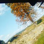 Profile Picture of radek ševčík (@radeksevcik062) on Instagram