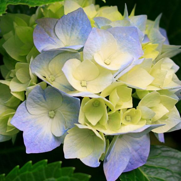 Profile Picture of Lily Ng (@loveitall143) on Poshmark