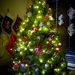 Profile Picture of Angela Prichard (@angelalliyah) on Pinterest