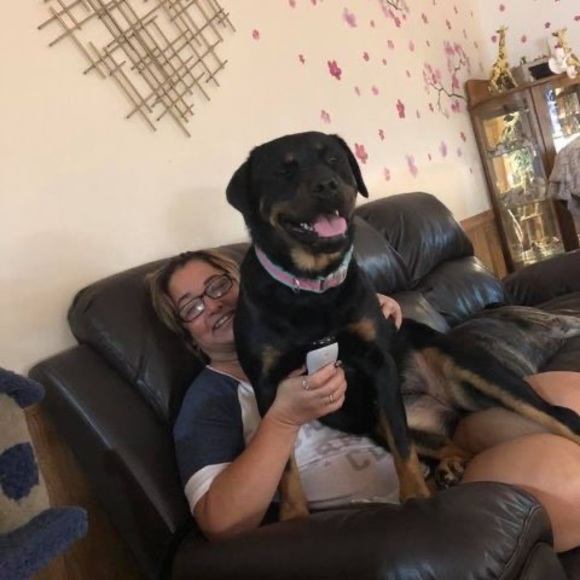 Profile Picture of Andrea Brummett (@silkies03) on Poshmark